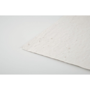 Arkusz A5 z nasionami kwiatów ASIDE