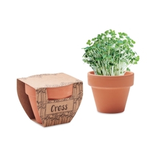 Nasiona rzeżuchy w doniczce CRESS POT